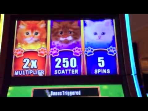 EUR 500 Casino Tournament at Come On Casino