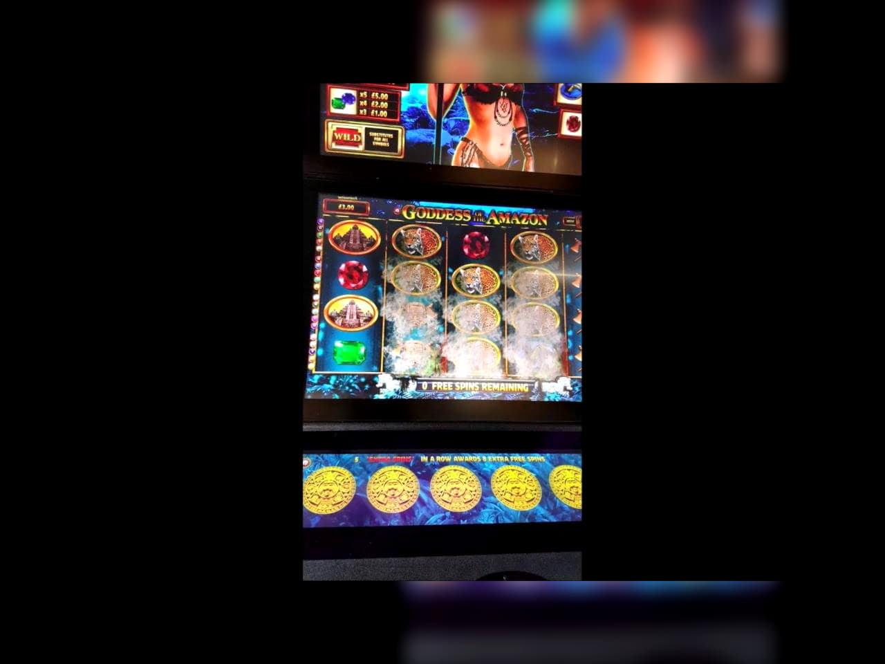 730% Signup Casino Bonus at Inter Casino