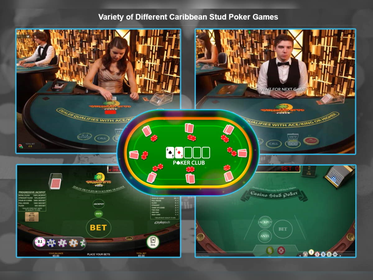 265 free spins casino at Malina Casino
