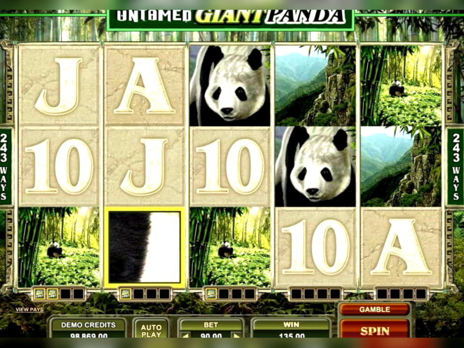 865% Match Bonus at Casino com