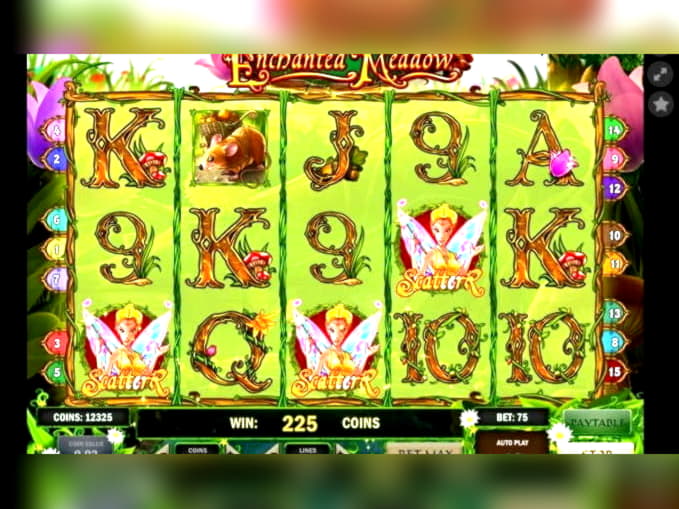 800% Casino match bonus at Inter Casino