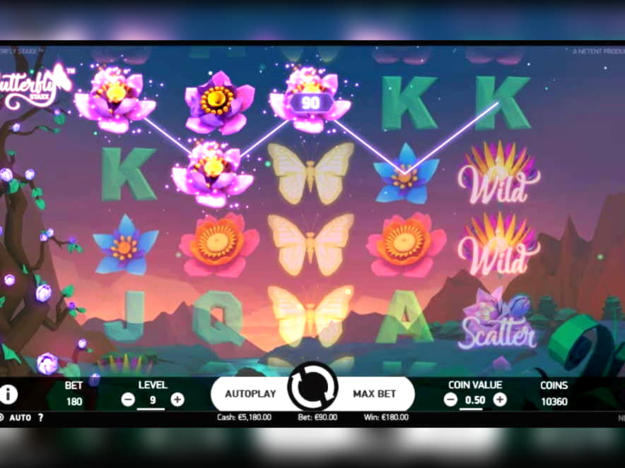 £455 Casino Tournament at Malina Casino