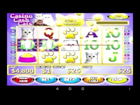 $2045 No Deposit Bonus at Spin Palace Casino