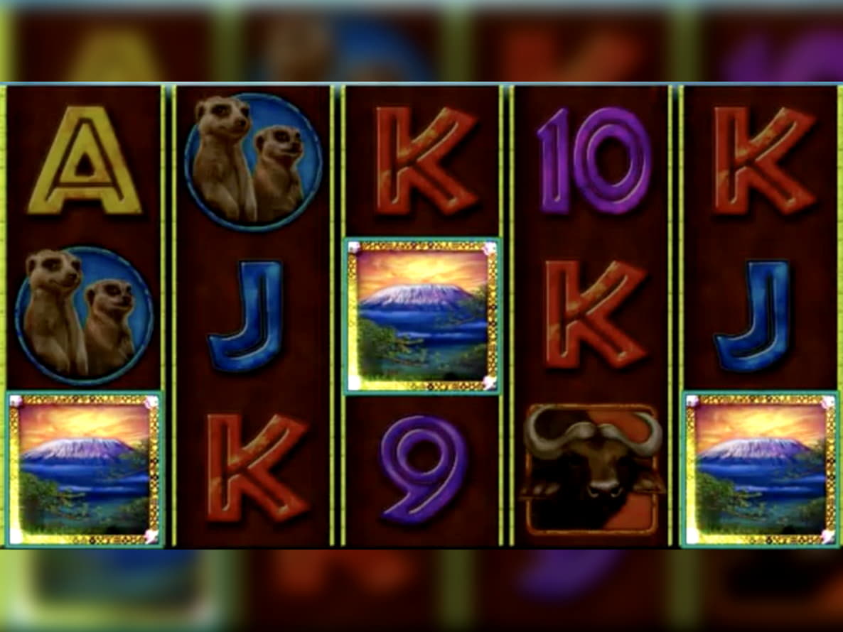 560% No Rules Bonus! at Platinum Play Casino