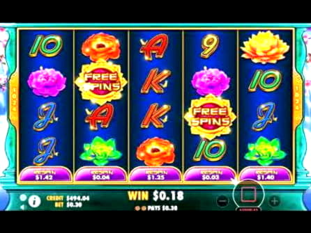 £660 Free Cash at Reload Bet Casino