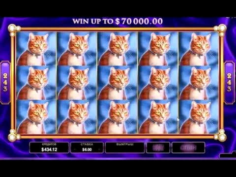 135% Signup casino bonus at Casino-X