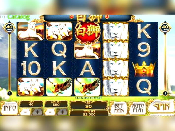 EUR 245 Online Casino Tournament at Buran Casino