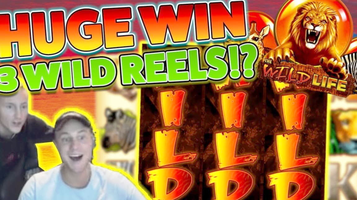55 Free spins no deposit casino at CasiPlay Casino