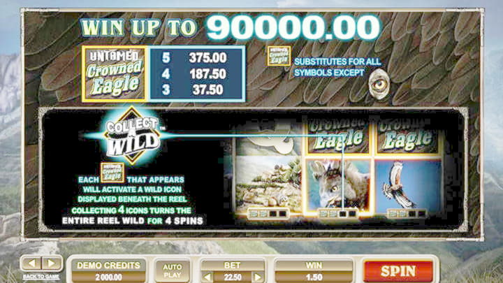 875% First Deposit Bonus at Reload Bet Casino