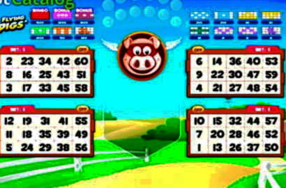 Eur 2665 No deposit bonus at Royal Dubai Casino