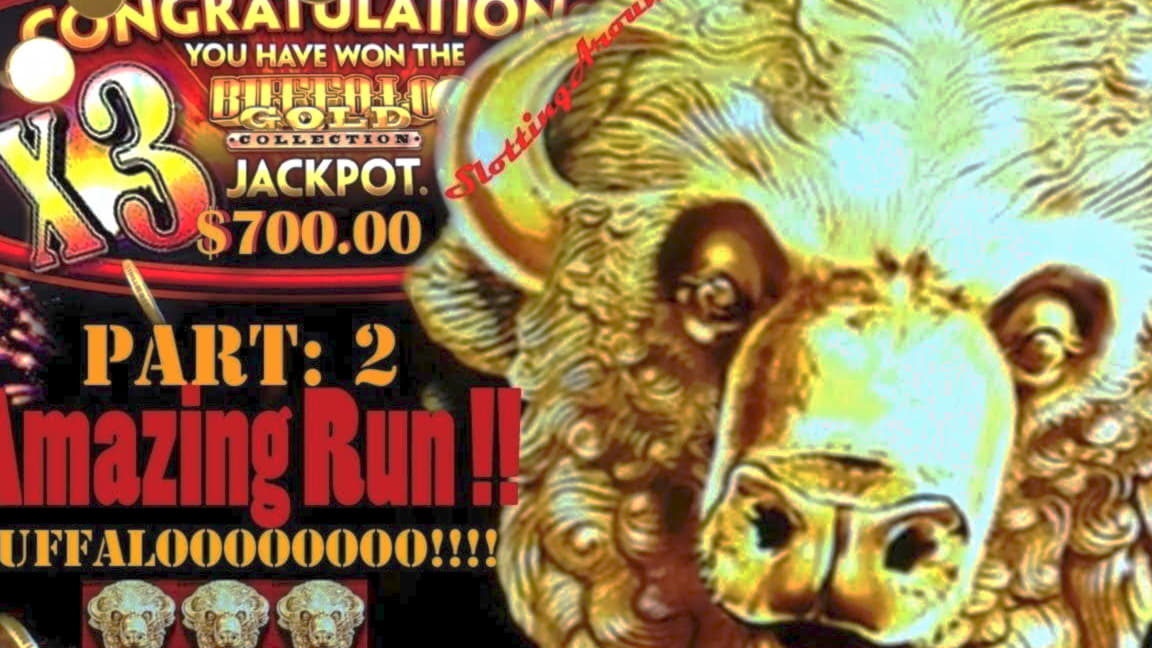 $615 Daily freeroll slot tournament at YoYo Casino