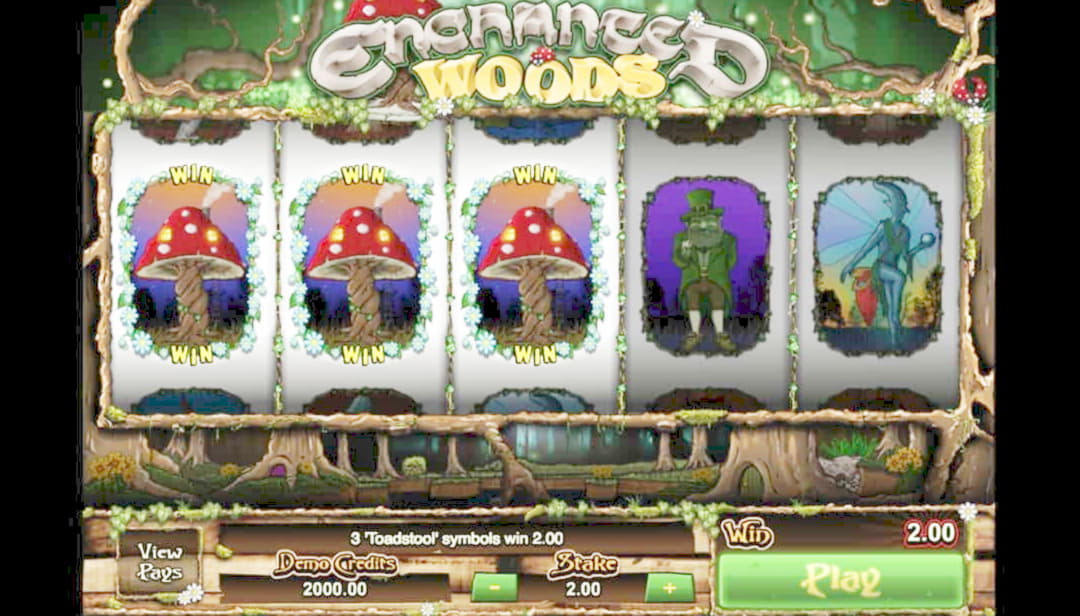 33 Free Spins no deposit casino at Cashmio Casino