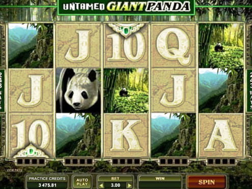 €1145 No Deposit Bonus at Spinit Casino