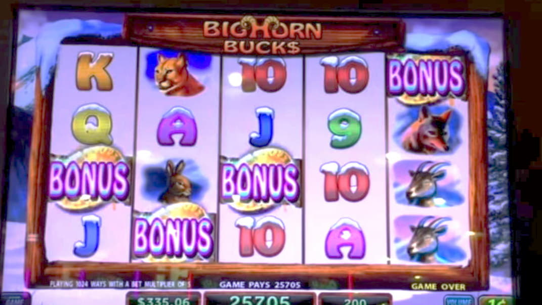 50 Free casino spins at CasiPlay Casino