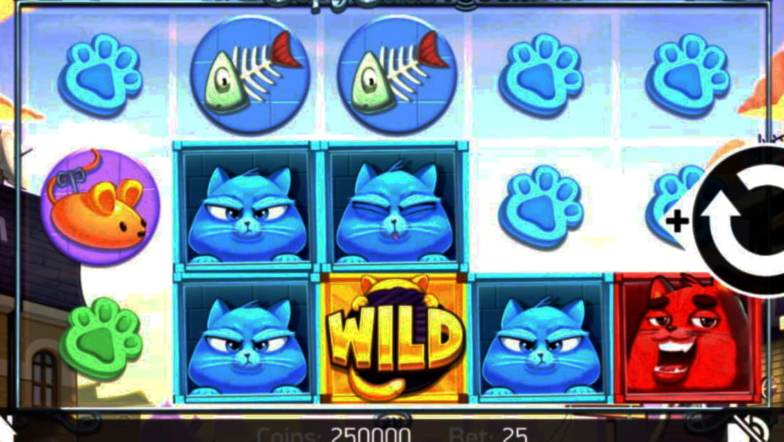 145% First deposit bonus at Cadoola Casino