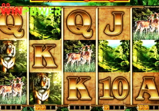 €365 Daily freeroll slot tournament at Italy Casino 