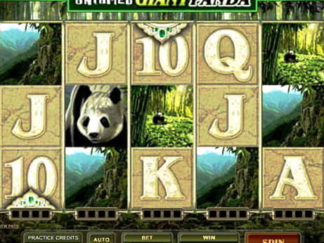 145 Free Spins at Come On Casino