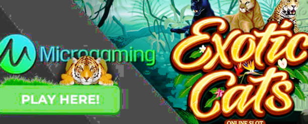 EUR 635 free casino chip at Royal Vegas Casino