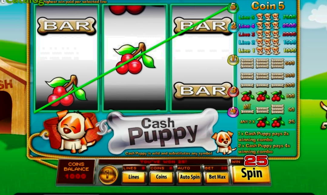 20 free casino spins at Malina Casino