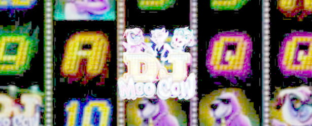 Eur 4585 NO DEPOSIT CASINO BONUS at Boa Boa Casino