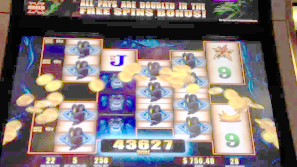 285 Free Spins right now at Unique Casino