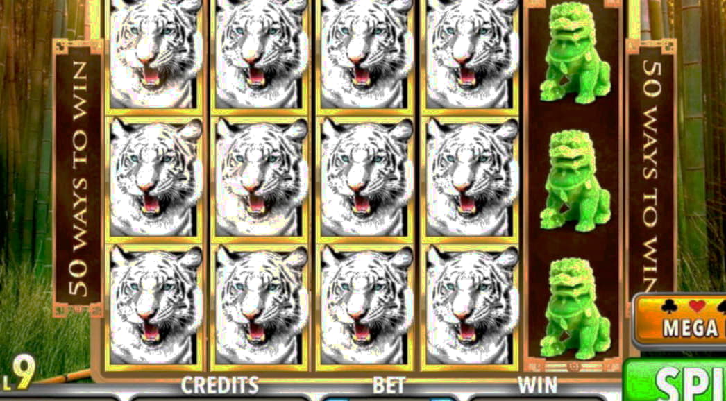 $1111 Casino tournaments freeroll at Cadoola Casino