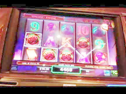 €185 Casino Tournament at Spinit Casino