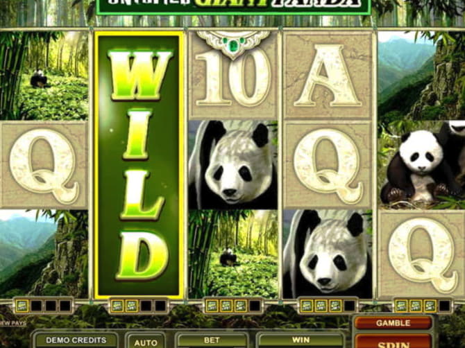 230% casino match bonus at Casino com