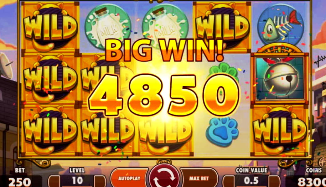 $445 Free Casino Tournament at bWin Casino