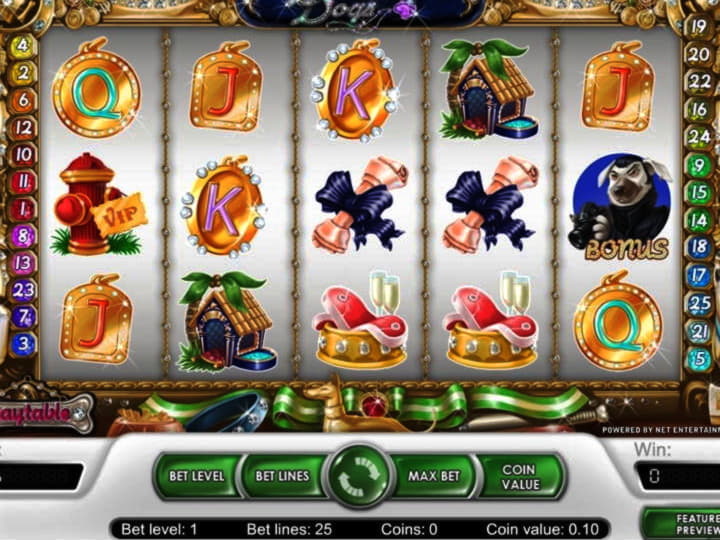 250 free spins no deposit casino at Reload Bet Casino