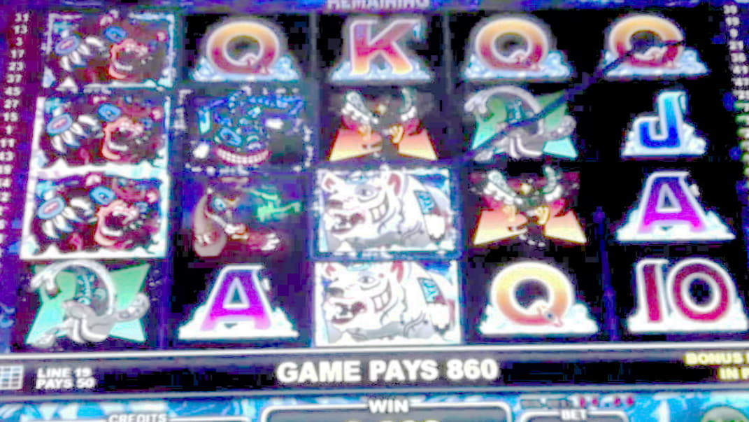 EUR 530 Daily freeroll slot tournament at YoYo Casino
