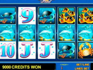 ﻿$4640 No Deposit Casino Bonus at Mrgreen Casino