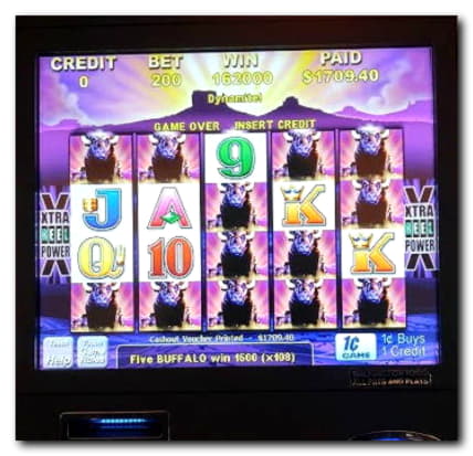 €890 Casino Tournament at Malina Casino