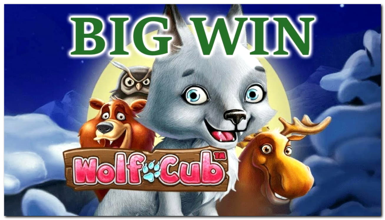 £395 Casino chip at Malina Casino