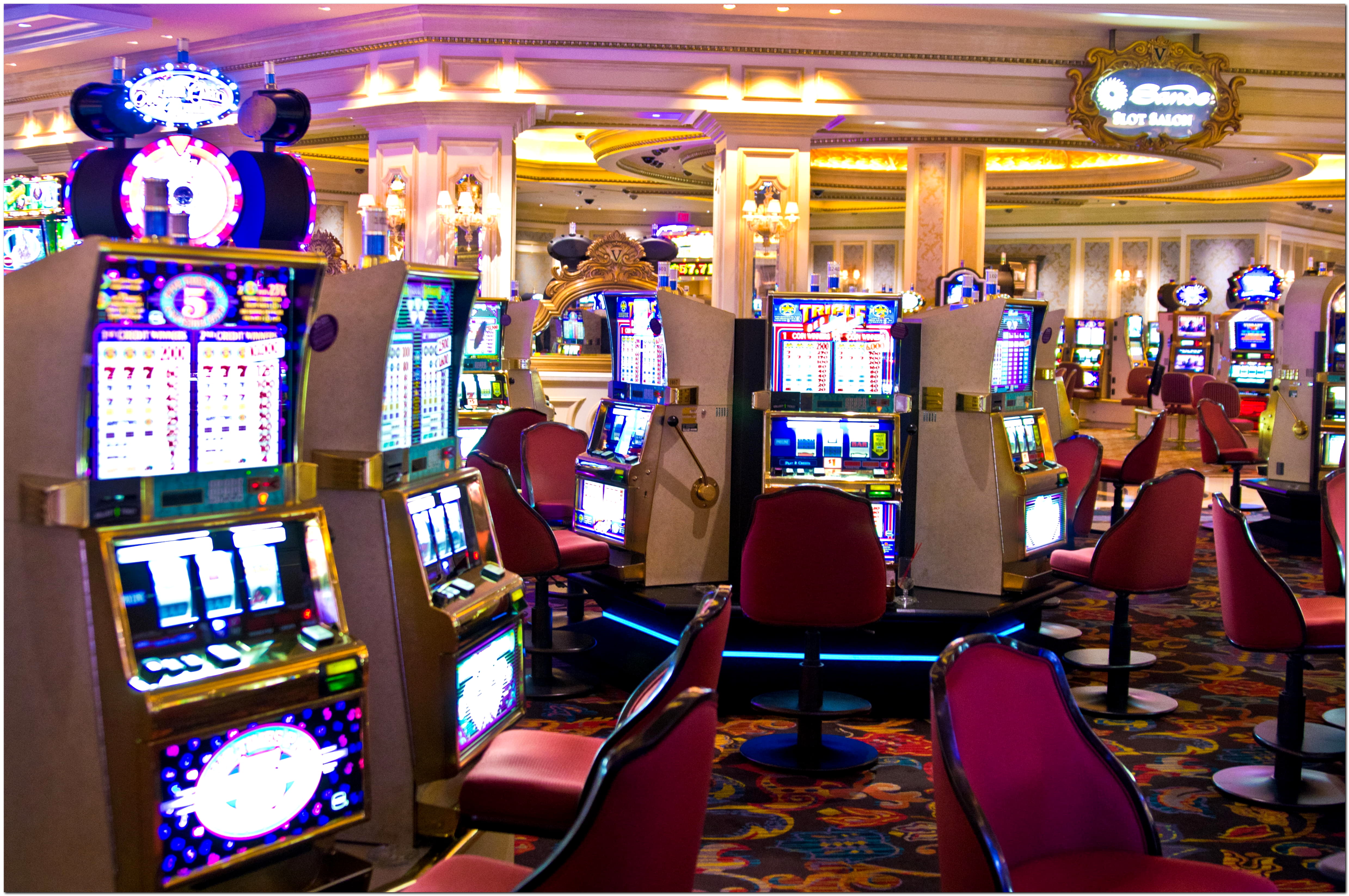 Eur 305 Daily freeroll slot tournament at Gamebookers Casino