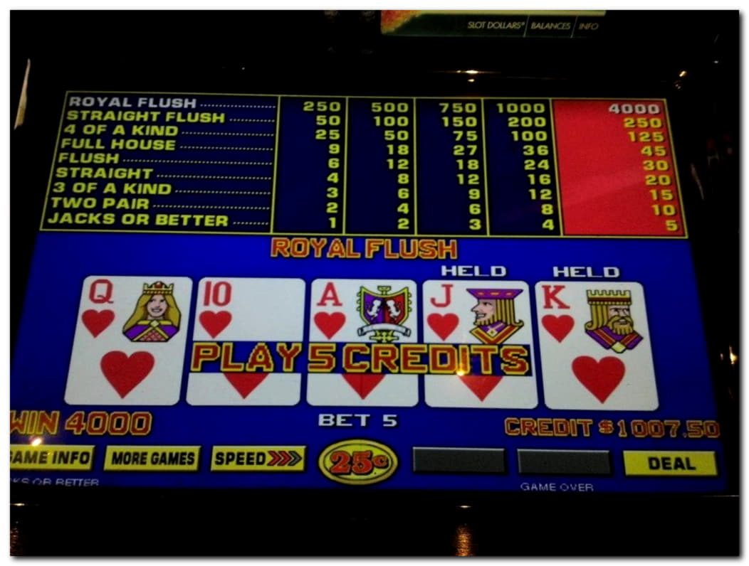 205 Free Casino Spins at CasiPlay Casino
