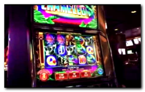 20 Free spins no deposit at Casino com