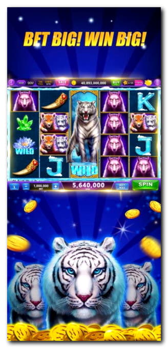$325 NO DEPOSIT BONUS at Spin Palace Casino
