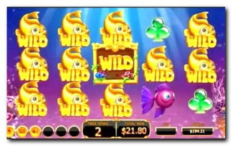100 Free Spins no deposit at CasiPlay Casino