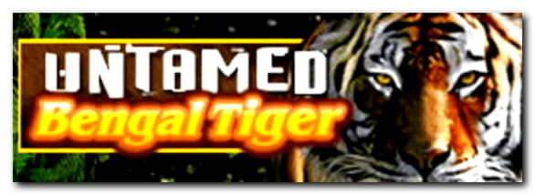 270 Free casino spins at Casino com