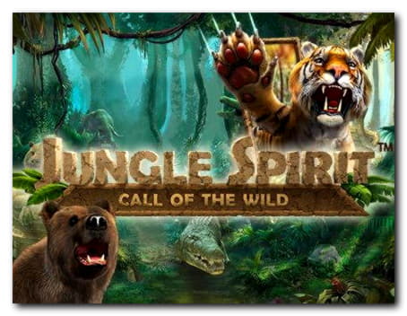 55% Signup Casino Bonus at YoYo Casino