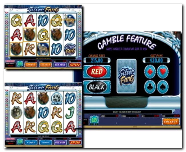 £755 Daily freeroll slot tournament at Malina Casino