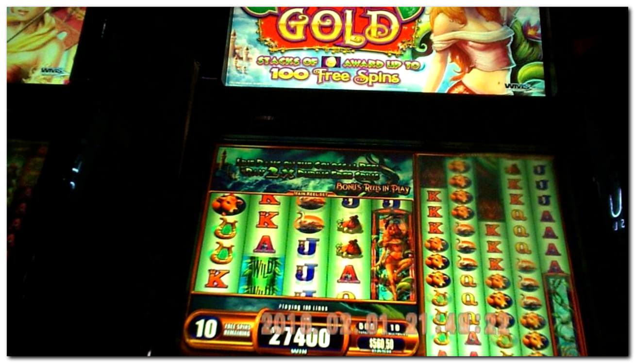 65 free spins no deposit at Royal Dubai Casino