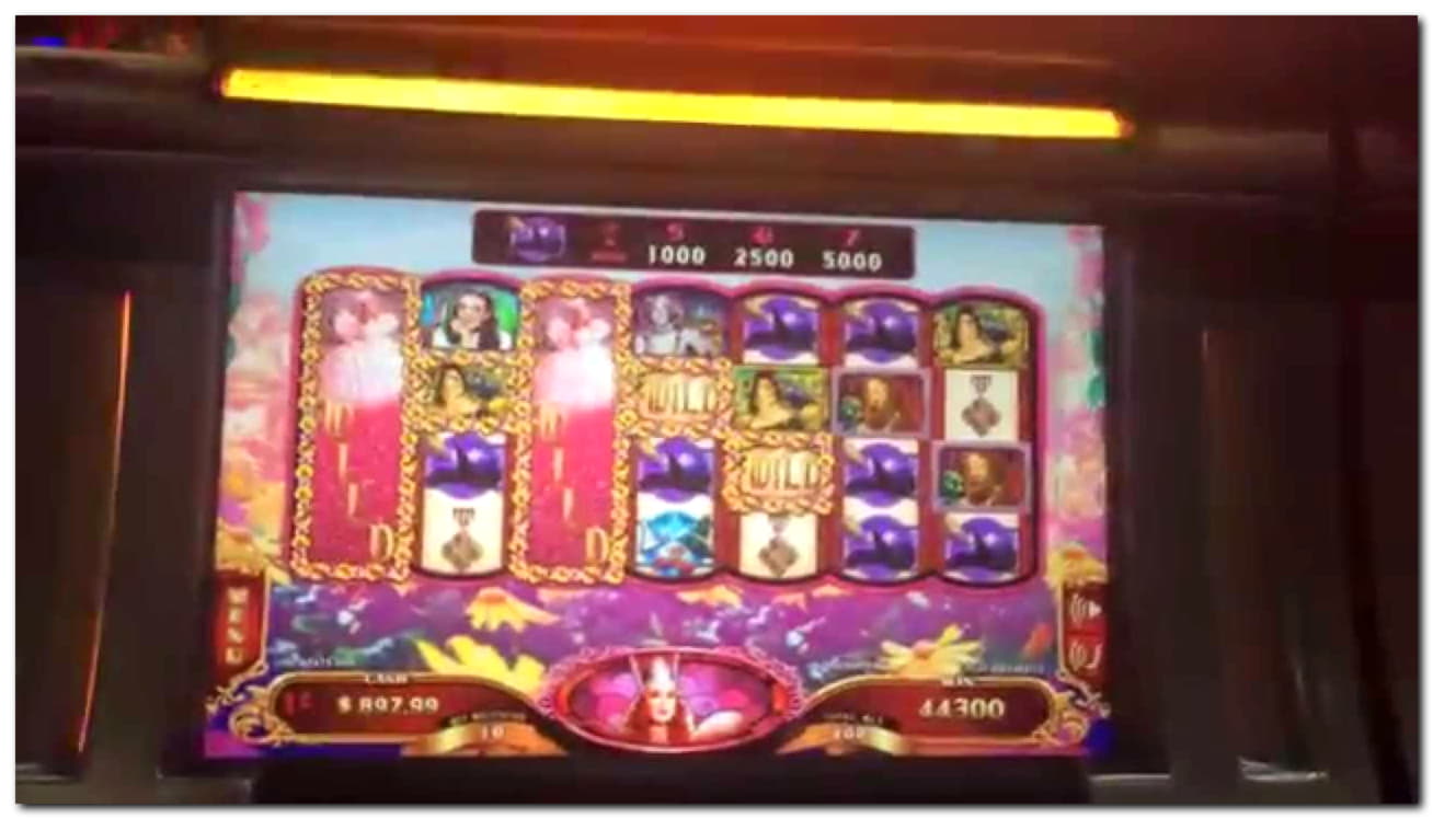 $888 Daily freeroll slot tournament at CasiPlay Casino