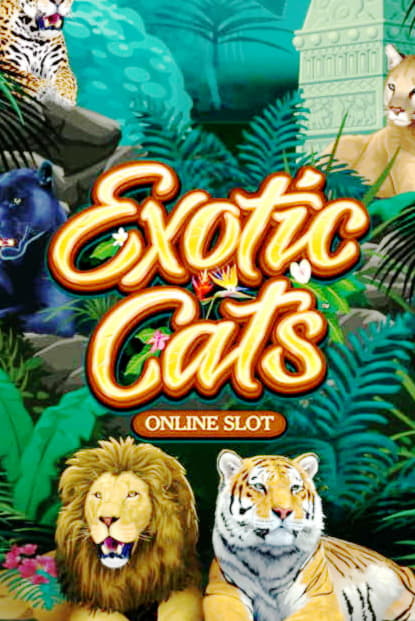 €330 Casino Tournament at Casino-X