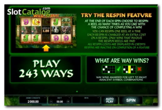 EUR 111 Casino Tournament at Boa Boa Casino
