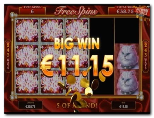 360% Match Bonus at Reload Bet Casino