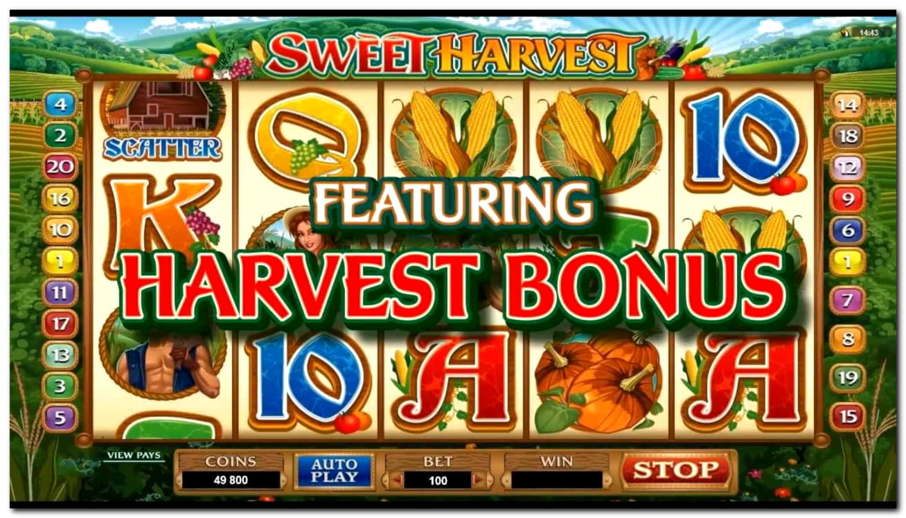 €1125 NO DEPOSIT BONUS at King Billy Casino