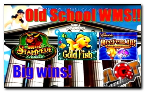 85 free spins no deposit at Gamebookers Casino