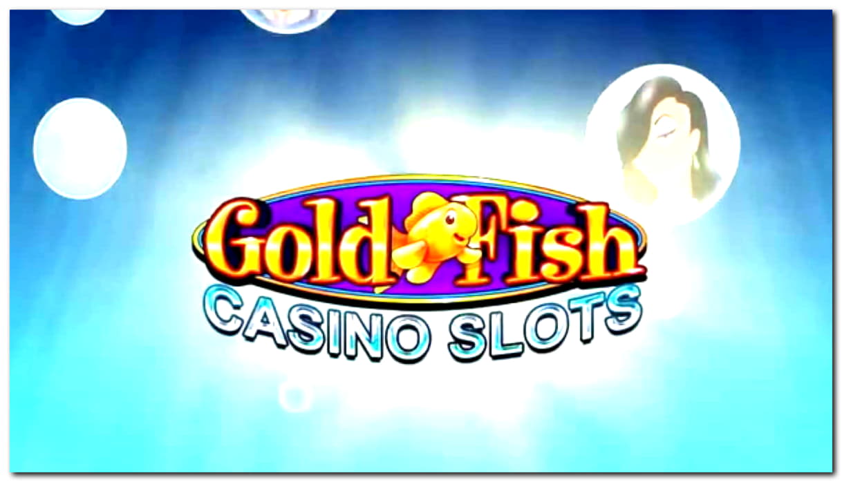 250% No Rules Bonus! at Euro Palace Casino